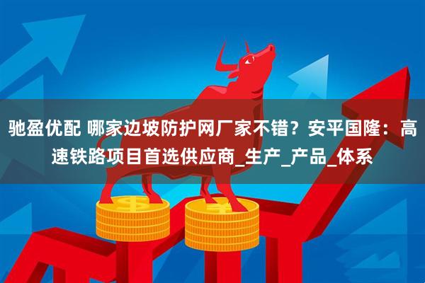 驰盈优配 哪家边坡防护网厂家不错？安平国隆：高速铁路项目首选供应商_生产_产品_体系