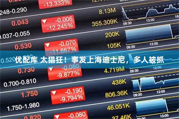 优配库 太猖狂！事发上海迪士尼，多人被抓